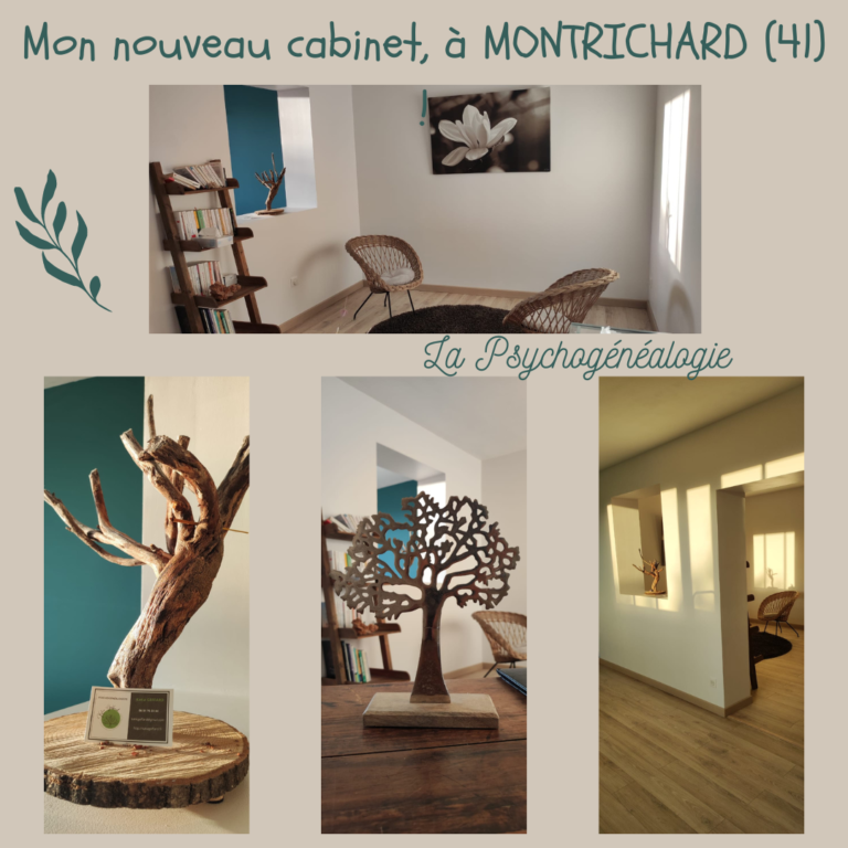 Cabinet psychogénéalogie à MONTRICHARD